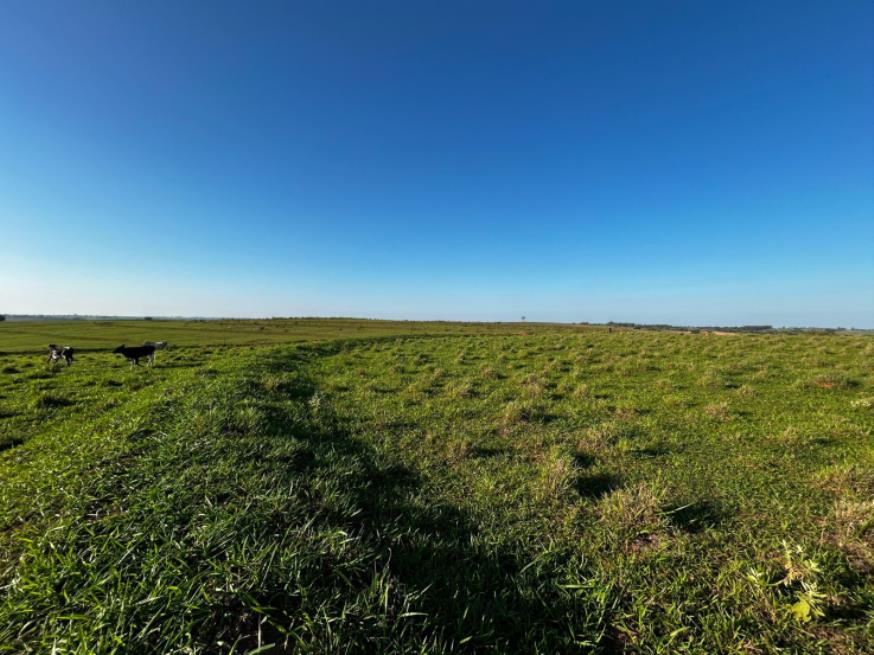 Foto ilustrativa 3 - Imóvel Rural em Martinópolis ( SP)