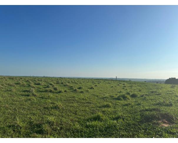 Foto de  Imóvel Rural em Martinópolis ( SP)