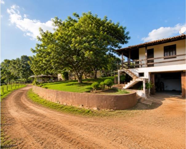 Foto de Paraná (PR) - Terreno Rural com 16,9 hectares