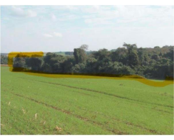 Foto de Lote Rural em Santa Izabel do Oeste/PR
