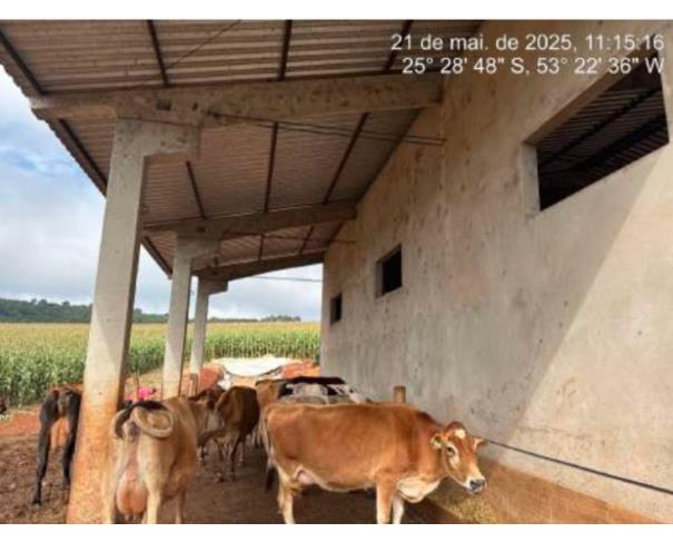 Foto de Paraná (PR) - Terreno Rural com 16,9 hectares