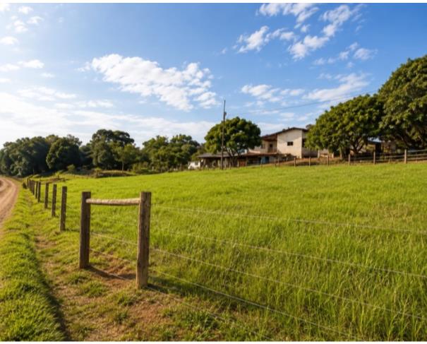 Foto de Paraná (PR) - Terreno Rural com 16,9 hectares