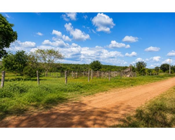 Foto de Fazenda Irapuá - BA