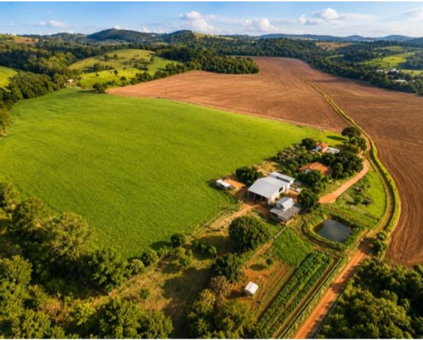 Foto de Paraná (PR) - Terreno Rural com 16,9 hectares