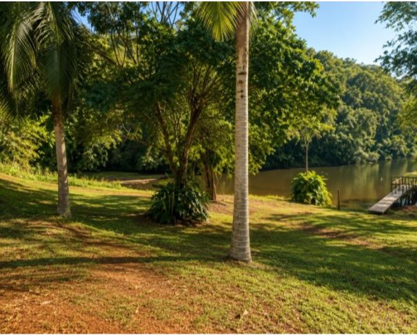 Foto de Paraná (PR) - Terreno Rural com 16,9 hectares