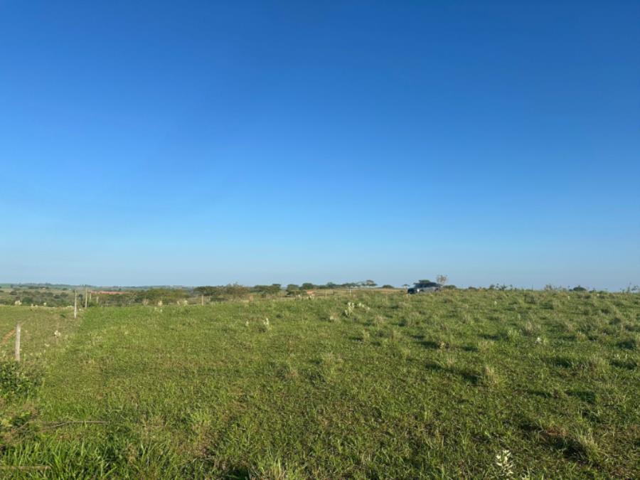 Foto de Imóvel Rural em Martinópolis ( SP)